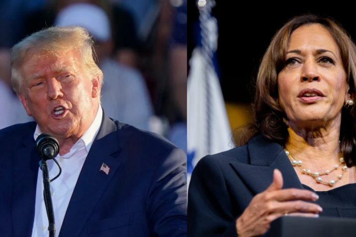 trump kamala trump kamala