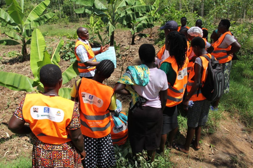 Negative attitude towards agriculture could breed food insecurity in Homa Bay County Negative attitude towards agriculture could breed food insecurity in Homa Bay County