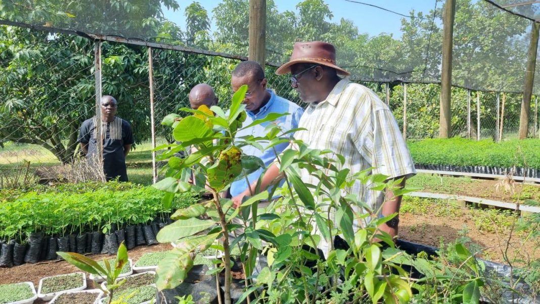 Re-awekening Coffee potential in Western Kenya to spur economy