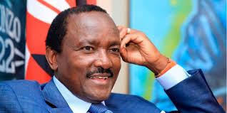 Babu Owino Declares Support for Kalonzo as He Is Offered Deputy Party Leader Position in Wiper Babu Owino Declares Support for Kalonzo as He Is Offered Deputy Party Leader Position in Wiper