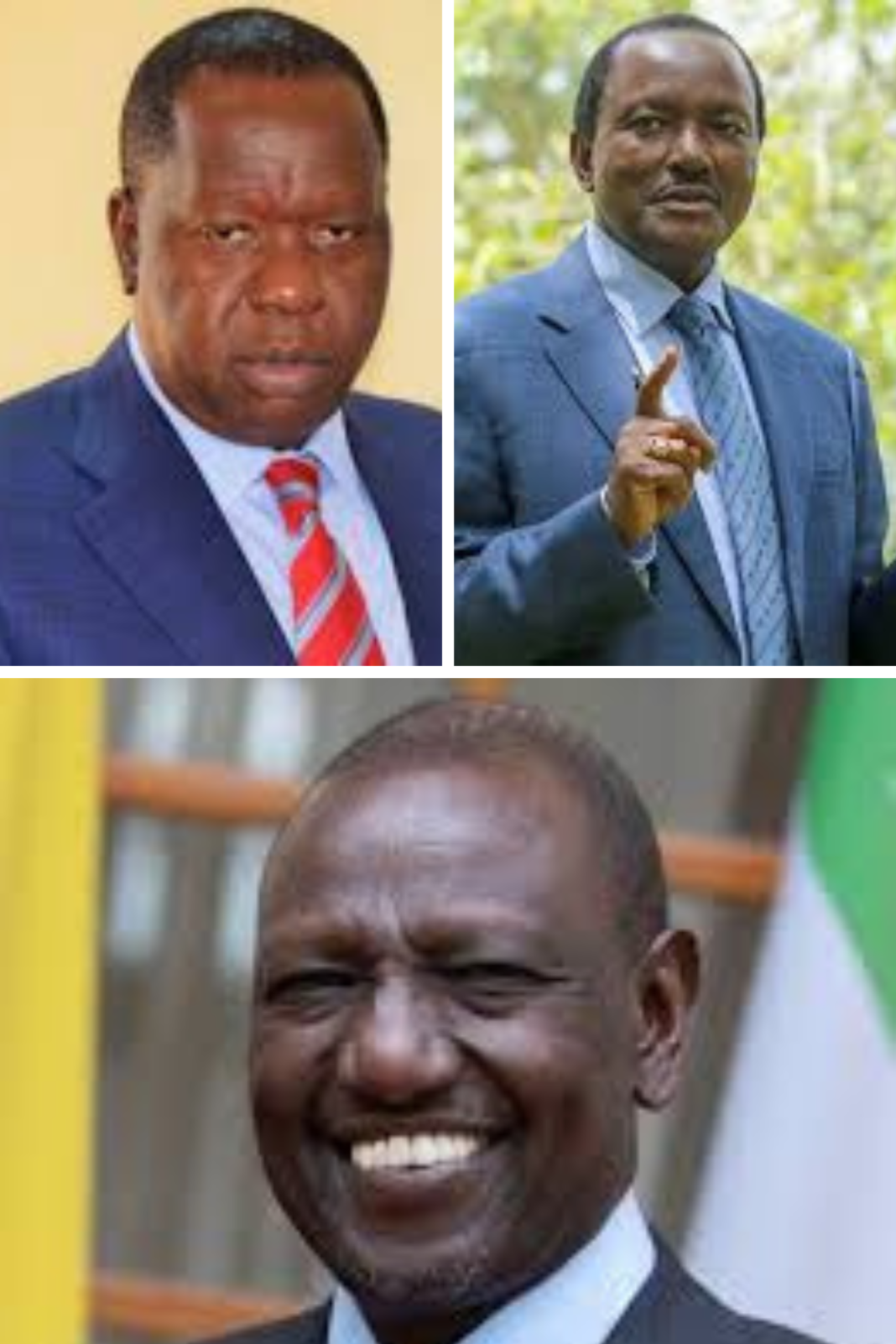 Beige Minimalist Mood Photo Collage (1)