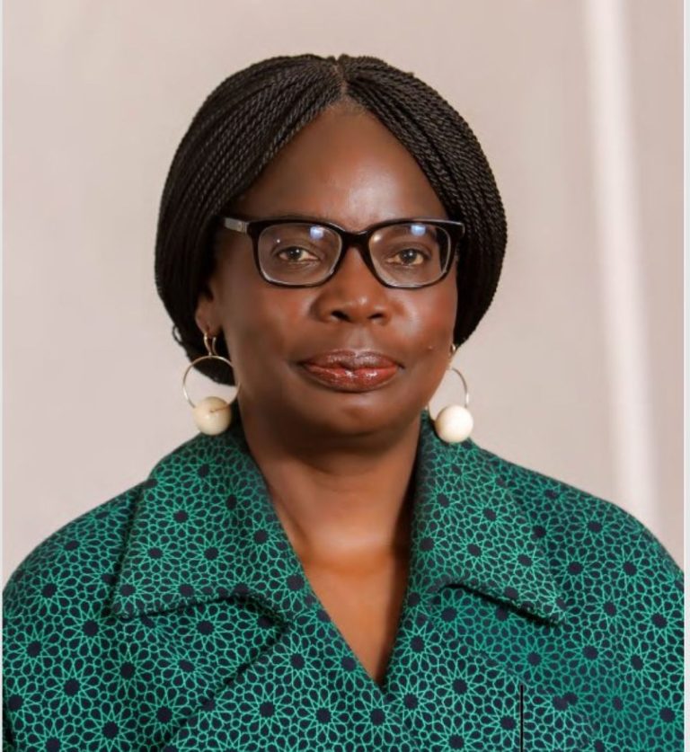 Okowa Elected to the International Law Commission by an Absolute Majority of the Votes in the Security Council