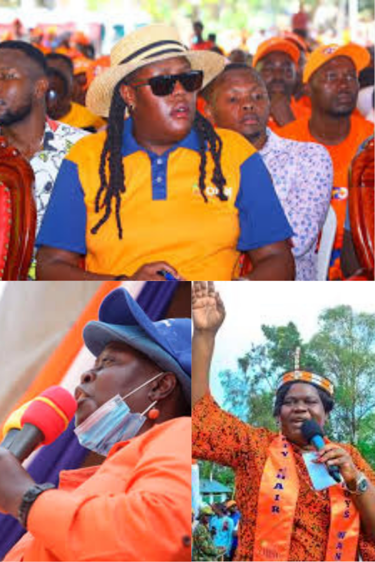 From a Movement to a Mosaic: ODM at 20 and the Emerging Fault Lines