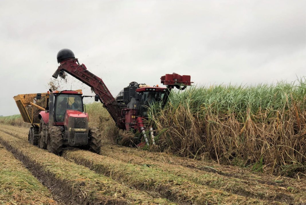 Kenya Ends 24-Year COMESA Sugar Safeguard, Steps Boldly Into Open Competition Kenya Ends 24-Year COMESA Sugar Safeguard, Steps Boldly Into Open Competition