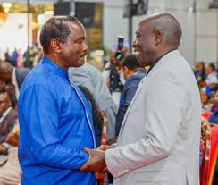 Politics of Data: Why Gachagua-Kalonzo alliance creates tyranny of numbers