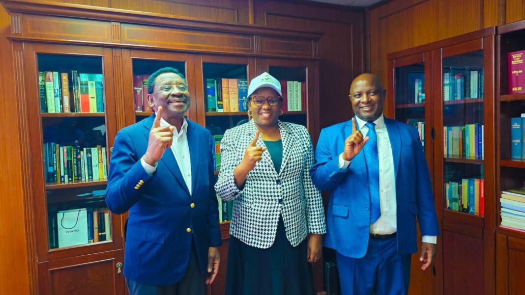Governor Kawira: The stone UDA ‘rejected’ is rocking with Linda Mwananchi Governor Kawira: The stone UDA ‘rejected’ is rocking with Linda Mwananchi