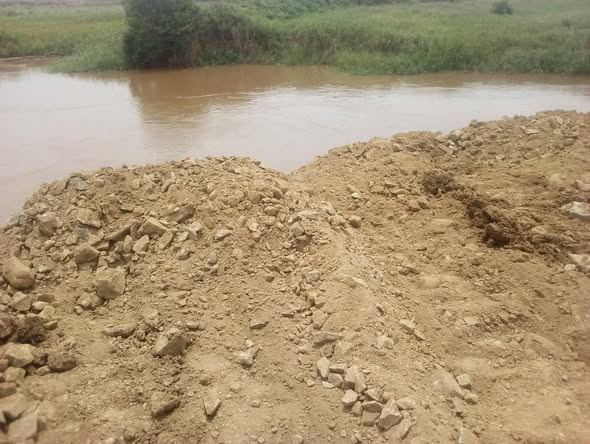 The Quiet Capture of Yala Swamp: How Lake Agro Took Over Dominion Farms and Threatens Kenya’s Most Sensitive Wetland The Quiet Capture of Yala Swamp: How Lake Agro Took Over Dominion Farms and Threatens Kenya’s Most Sensitive Wetland
