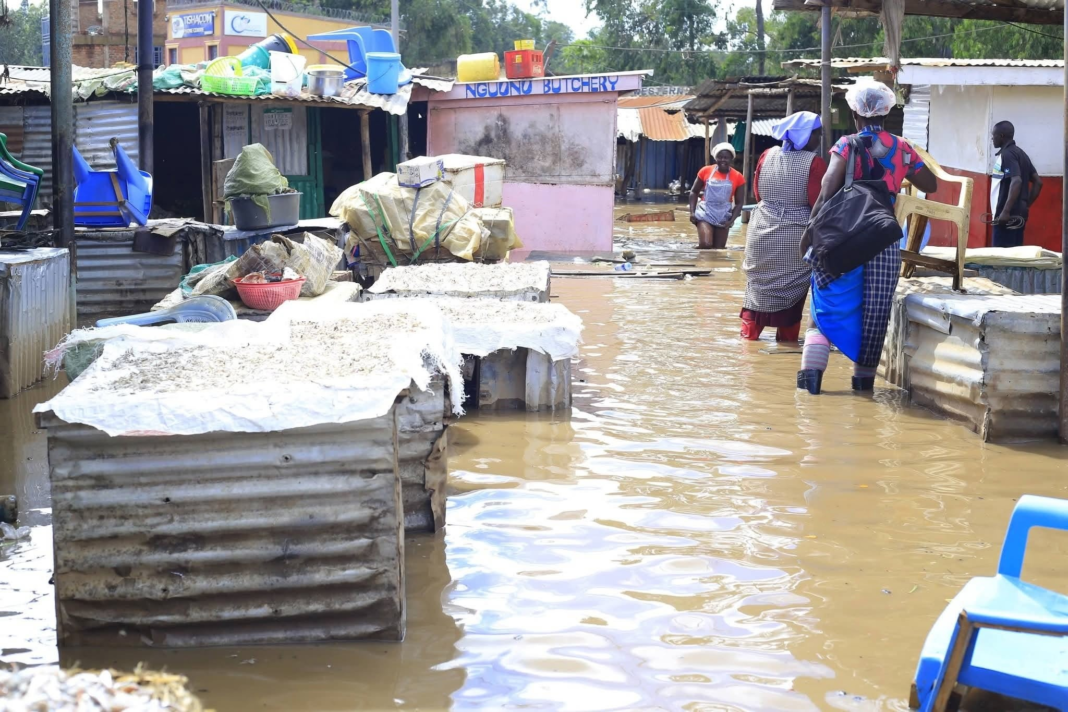 Why Senator Kajwang’ believes the country must take early warning systems seriously Why Senator Kajwang’ believes the country must take early warning systems seriously