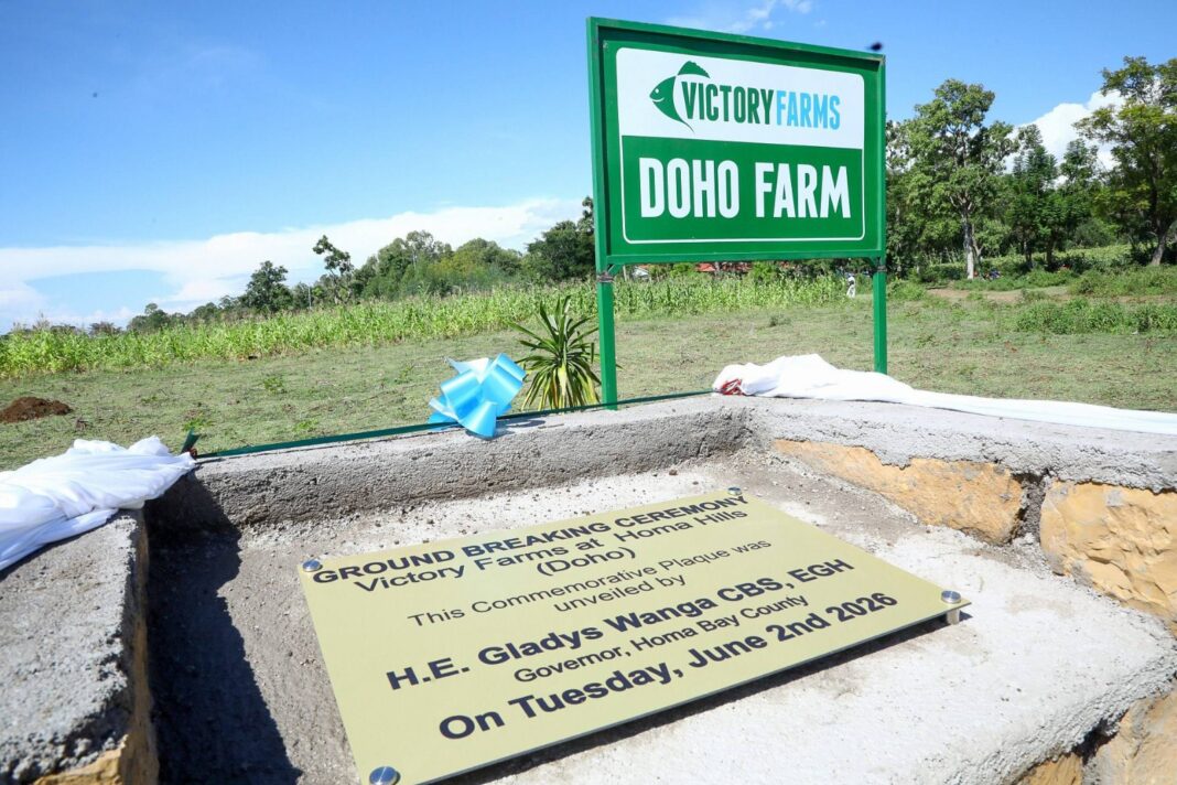 How Ksh2.2 billion tilapia farming expansion by Victory Farms will boost access to affordable tilapia in Kenya How Ksh2.2 billion tilapia farming expansion by Victory Farms will boost access to affordable tilapia in Kenya