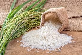 NYATIKE IN MIGORI COUNTY IS BOUND TO GROW EXPONENTIALLY NYATIKE IN MIGORI COUNTY IS BOUND TO GROW EXPONENTIALLY