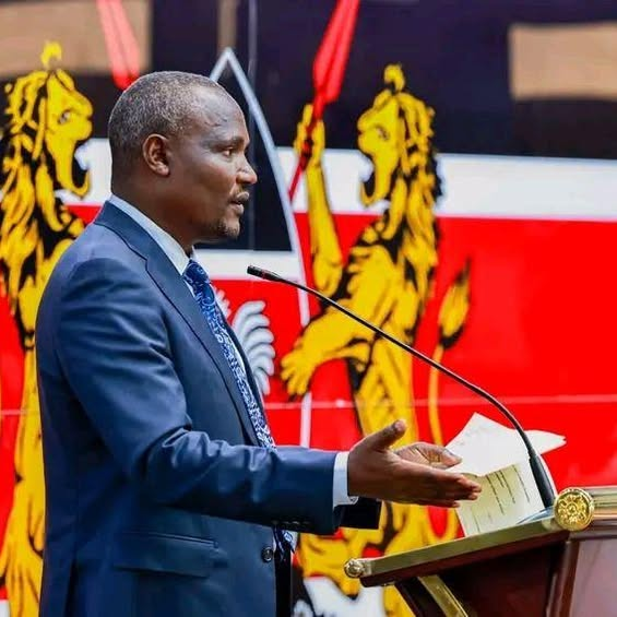 The Sh50 Convenience E-Citizen fee: Where is the truth? The Sh50 Convenience E-Citizen fee: Where is the truth?