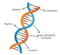 Nyikal’s Child Identity and Family Integrity Bill: The DNA Bombshell, a New Law in the Making Nyikal’s Child Identity and Family Integrity Bill: The DNA Bombshell, a New Law in the Making